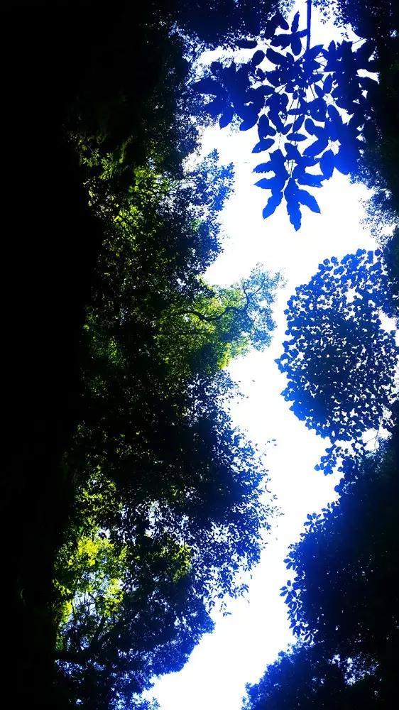 迷你汽车记忆卡